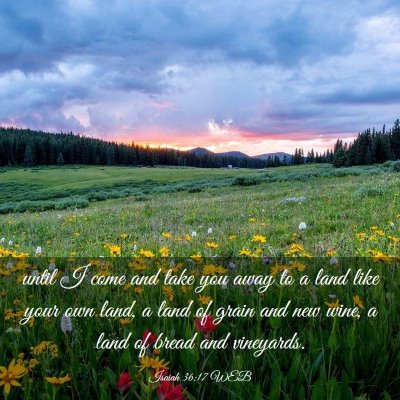 Picture 03 - Isaiah 36:17 WEB - until I come and take you away to a land like - Bible Verse Picture