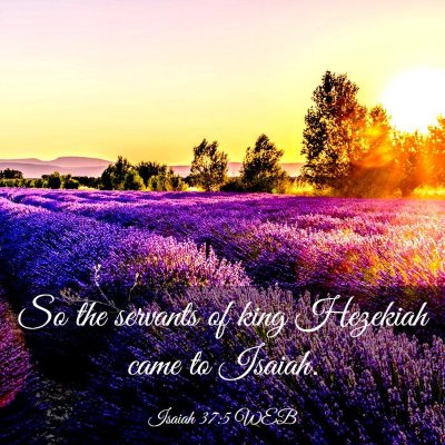 Picture 03 - Isaiah 37:5 WEB - So the servants of king Hezekiah came to - Bible Verse Picture