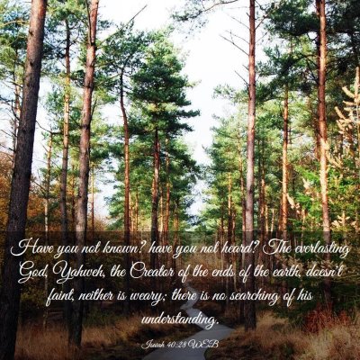 Picture 03 - Isaiah 40:28 WEB - Have you not known? have you not heard? The - Bible Verse Picture