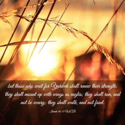 Picture 03 - Isaiah 40:31 WEB - but those who wait for Yahweh shall renew their - Bible Verse Picture