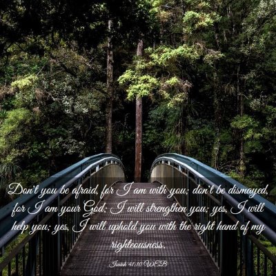 Picture 03 - Isaiah 41:10 WEB - Don't you be afraid, for I am with you; don't be - Bible Verse Picture