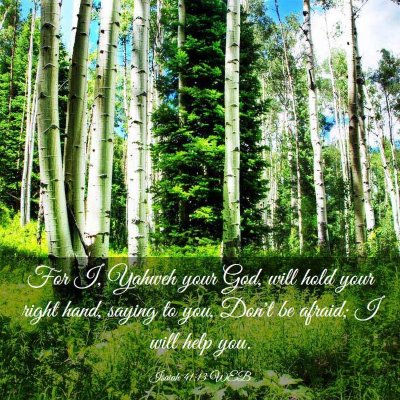 Picture 03 - Isaiah 41:13 WEB - For I, Yahweh your God, will hold your right - Bible Verse Picture
