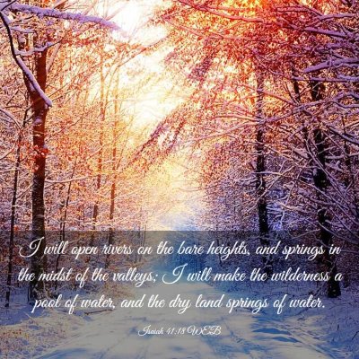 Picture 03 - Isaiah 41:18 WEB - I will open rivers on the bare heights, and - Bible Verse Picture