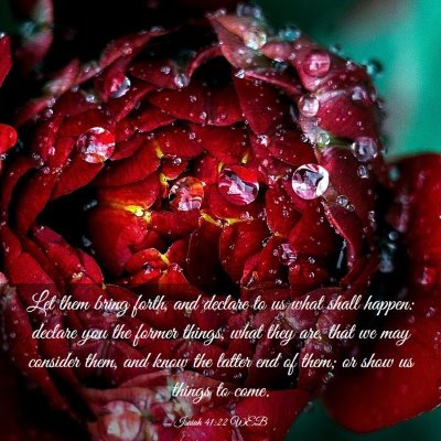 Picture 03 - Isaiah 41:22 WEB - Let them bring forth, and declare to us what - Bible Verse Picture