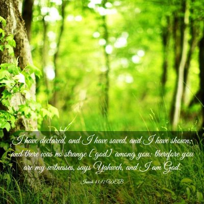 Picture 03 - Isaiah 43:12 WEB - I have declared, and I have saved, and I have - Bible Verse Picture