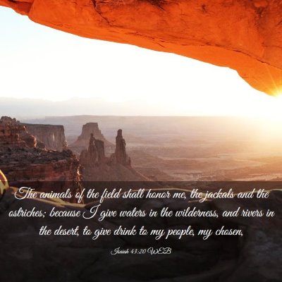 Picture 03 - Isaiah 43:20 WEB - The animals of the field shall honor me, the - Bible Verse Picture