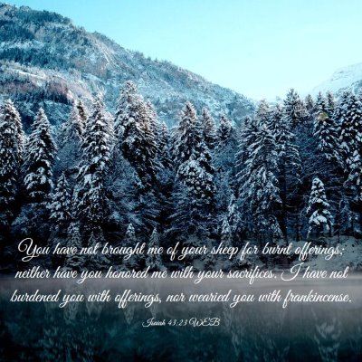 Picture 03 - Isaiah 43:23 WEB - You have not brought me of your sheep for burnt - Bible Verse Picture