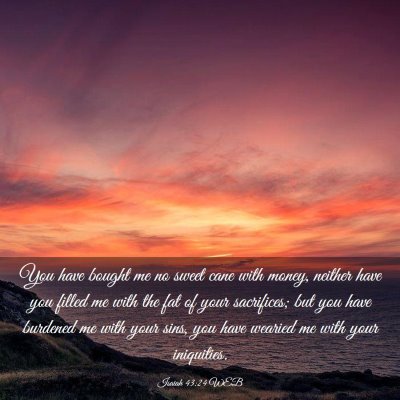 Picture 03 - Isaiah 43:24 WEB - You have bought me no sweet cane with money, - Bible Verse Picture