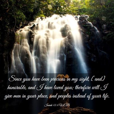 Picture 03 - Isaiah 43:4 WEB - Since you have been precious in my sight, [and] - Bible Verse Picture