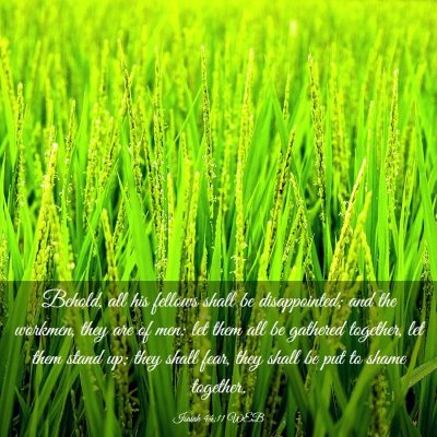Picture 03 - Isaiah 44:11 WEB - Behold, all his fellows shall be disappointed; - Bible Verse Picture