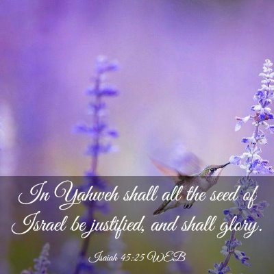 Picture 03 - Isaiah 45:25 WEB - In Yahweh shall all the seed of Israel be - Bible Verse Picture