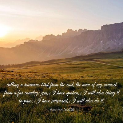 Picture 03 - Isaiah 46:11 WEB - calling a ravenous bird from the east, the man of - Bible Verse Picture