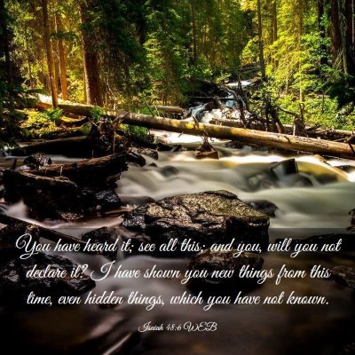 Picture 03 - Isaiah 48:6 WEB - You have heard it; see all this; and you, will - Bible Verse Picture