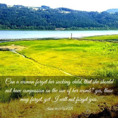 Picture 03 - Isaiah 49:15 WEB - Can a woman forget her sucking child, that she - Bible Verse Picture