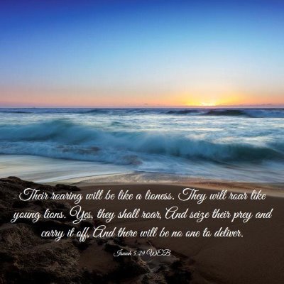 Picture 03 - Isaiah 5:29 WEB - Their roaring will be like a lioness. They will - Bible Verse Picture