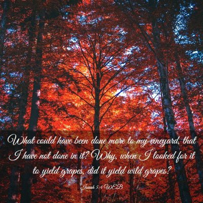 Picture 03 - Isaiah 5:4 WEB - What could have been done more to my vineyard, - Bible Verse Picture