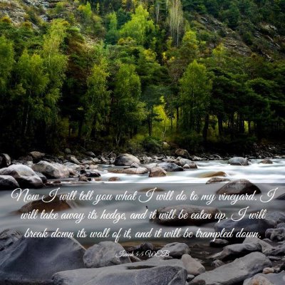 Picture 03 - Isaiah 5:5 WEB - Now I will tell you what I will do to my - Bible Verse Picture