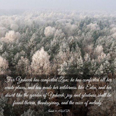 Picture 03 - Isaiah 51:3 WEB - For Yahweh has comforted Zion; he has comforted - Bible Verse Picture