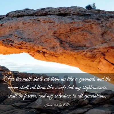 Picture 03 - Isaiah 51:8 WEB - For the moth shall eat them up like a garment, - Bible Verse Picture