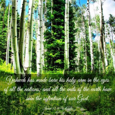 Picture 03 - Isaiah 52:10 WEB - Yahweh has made bare his holy arm in the eyes of - Bible Verse Picture