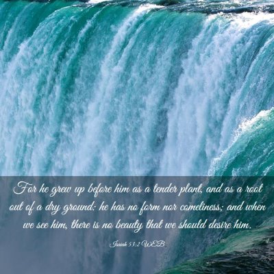 Picture 03 - Isaiah 53:2 WEB - For he grew up before him as a tender plant, and - Bible Verse Picture