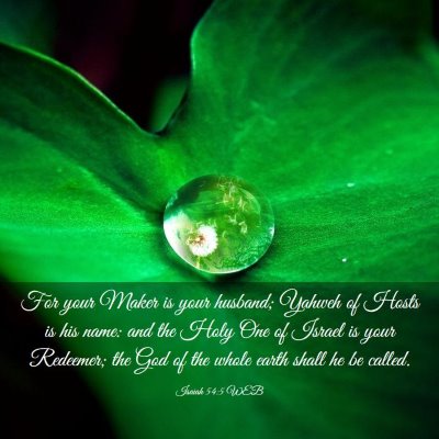 Picture 03 - Isaiah 54:5 WEB - For your Maker is your husband; Yahweh of Hosts - Bible Verse Picture