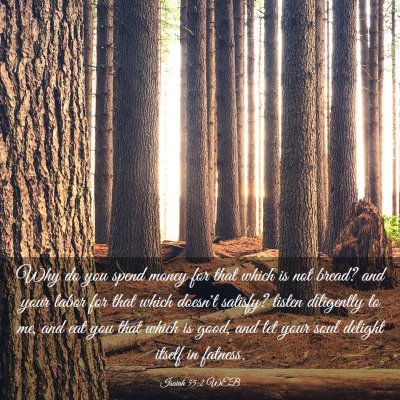 Picture 03 - Isaiah 55:2 WEB - Why do you spend money for that which is not - Bible Verse Picture
