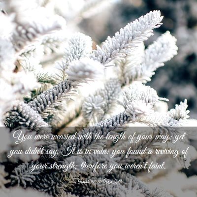 Picture 03 - Isaiah 57:10 WEB - You were wearied with the length of your way; yet - Bible Verse Picture