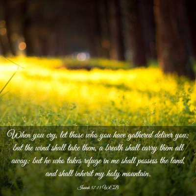 Picture 03 - Isaiah 57:13 WEB - When you cry, let those who you have gathered - Bible Verse Picture