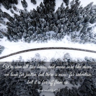 Picture 03 - Isaiah 59:11 WEB - We roar all like bears, and moan sore like doves: - Bible Verse Picture