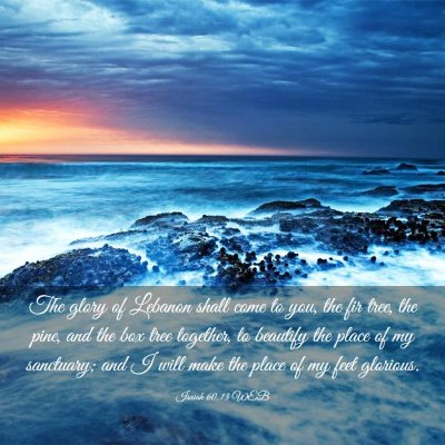 Picture 03 - Isaiah 60:13 WEB - The glory of Lebanon shall come to you, the fir - Bible Verse Picture
