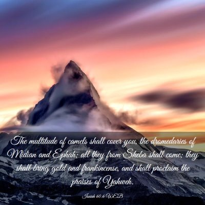 Picture 03 - Isaiah 60:6 WEB - The multitude of camels shall cover you, the - Bible Verse Picture