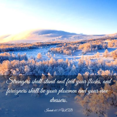 Picture 03 - Isaiah 61:5 WEB - Strangers shall stand and feed your flocks, and - Bible Verse Picture