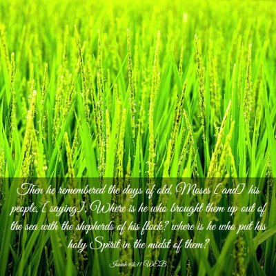 Picture 03 - Isaiah 63:11 WEB - Then he remembered the days of old, Moses [and] - Bible Verse Picture
