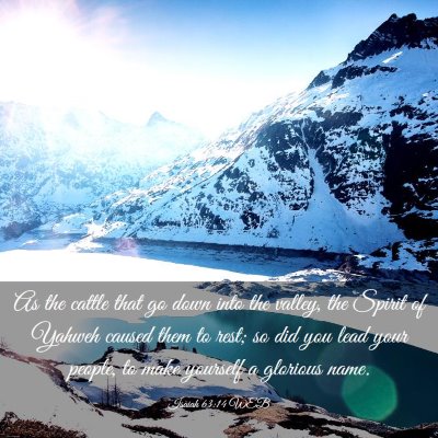 Picture 03 - Isaiah 63:14 WEB - As the cattle that go down into the valley, the - Bible Verse Picture