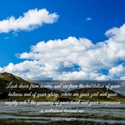 Picture 03 - Isaiah 63:15 WEB - Look down from heaven, and see from the - Bible Verse Picture