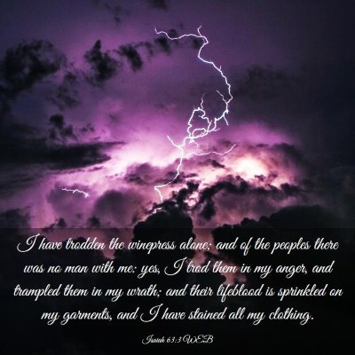 Picture 03 - Isaiah 63:3 WEB - I have trodden the winepress alone; and of the - Bible Verse Picture