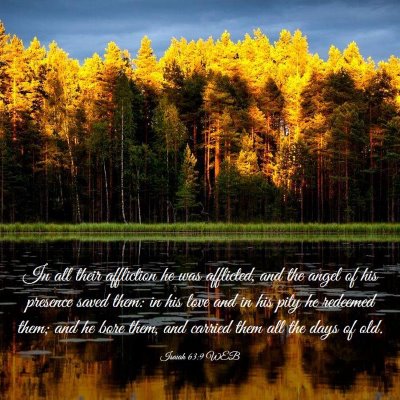 Picture 03 - Isaiah 63:9 WEB - In all their affliction he was afflicted, and the - Bible Verse Picture