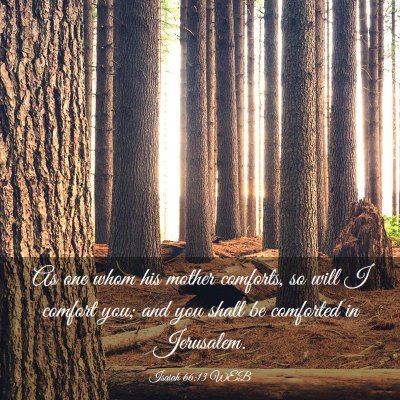 Picture 03 - Isaiah 66:13 WEB - As one whom his mother comforts, so will I - Bible Verse Picture