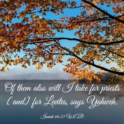 Picture 03 - Isaiah 66:21 WEB - Of them also will I take for priests [and] for - Bible Verse Picture