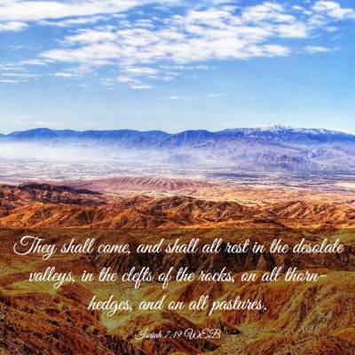 Picture 03 - Isaiah 7:19 WEB - They shall come, and shall all rest in the - Bible Verse Picture