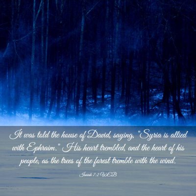 Picture 03 - Isaiah 7:2 WEB - It was told the house of David, saying, 