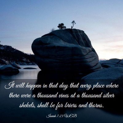 Picture 03 - Isaiah 7:23 WEB - It will happen in that day that every place where - Bible Verse Picture