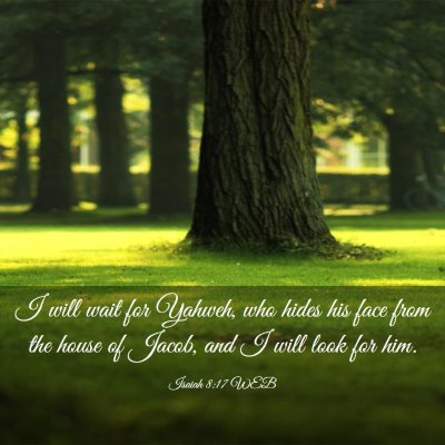 Picture 03 - Isaiah 8:17 WEB - I will wait for Yahweh, who hides his face from - Bible Verse Picture
