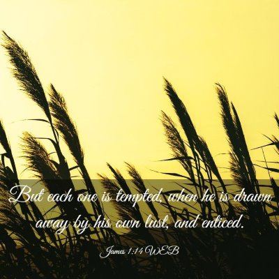 Picture 03 - James 1:14 WEB - But each one is tempted, when he is drawn away by - Bible Verse Picture