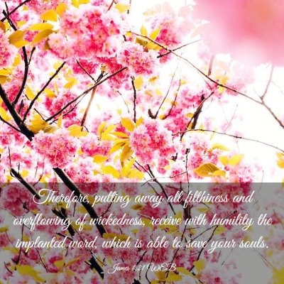 Picture 03 - James 1:21 WEB - Therefore, putting away all filthiness and - Bible Verse Picture
