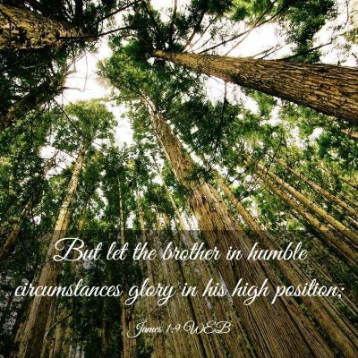 Picture 03 - James 1:9 WEB - But let the brother in humble circumstances glory - Bible Verse Picture