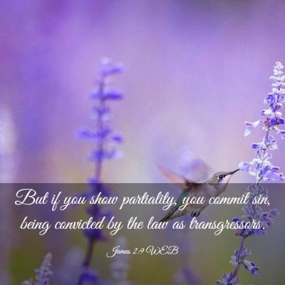 Picture 03 - James 2:9 WEB - But if you show partiality, you commit sin, being - Bible Verse Picture