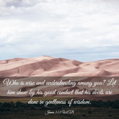 Picture 03 - James 3:13 WEB - Who is wise and understanding among you? Let him - Bible Verse Picture