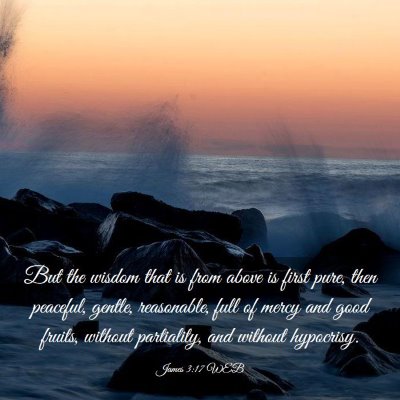 Picture 03 - James 3:17 WEB - But the wisdom that is from above is first pure, - Bible Verse Picture